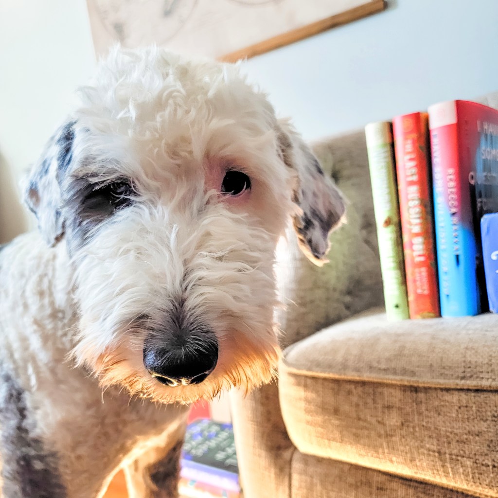 Meet My Reading&nbsp;Buddies