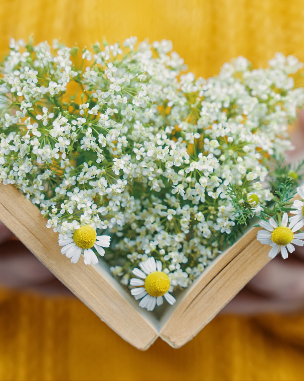 July 2025 Most Anticipated New Book&nbsp;Releases