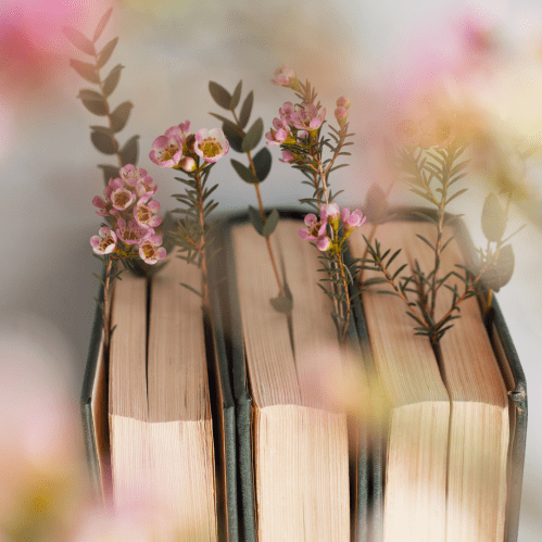 May 2025 Most Anticipated New Book&nbsp;Releases