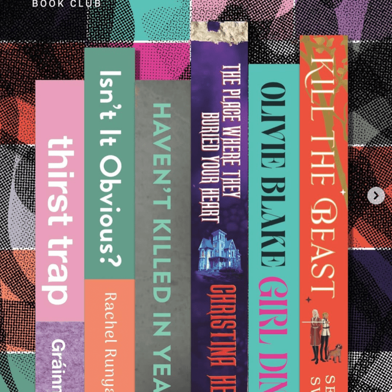 November 2025 Aardvark Book Club Hints &&nbsp;Picks