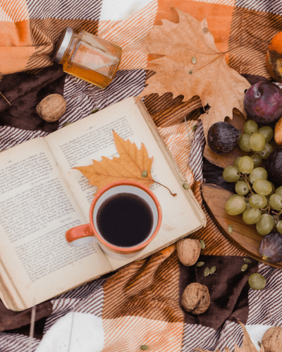 November 2025 Most Anticipated New Book&nbsp;Releases