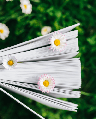 June 2026 Most Anticipated New Book&nbsp;Releases